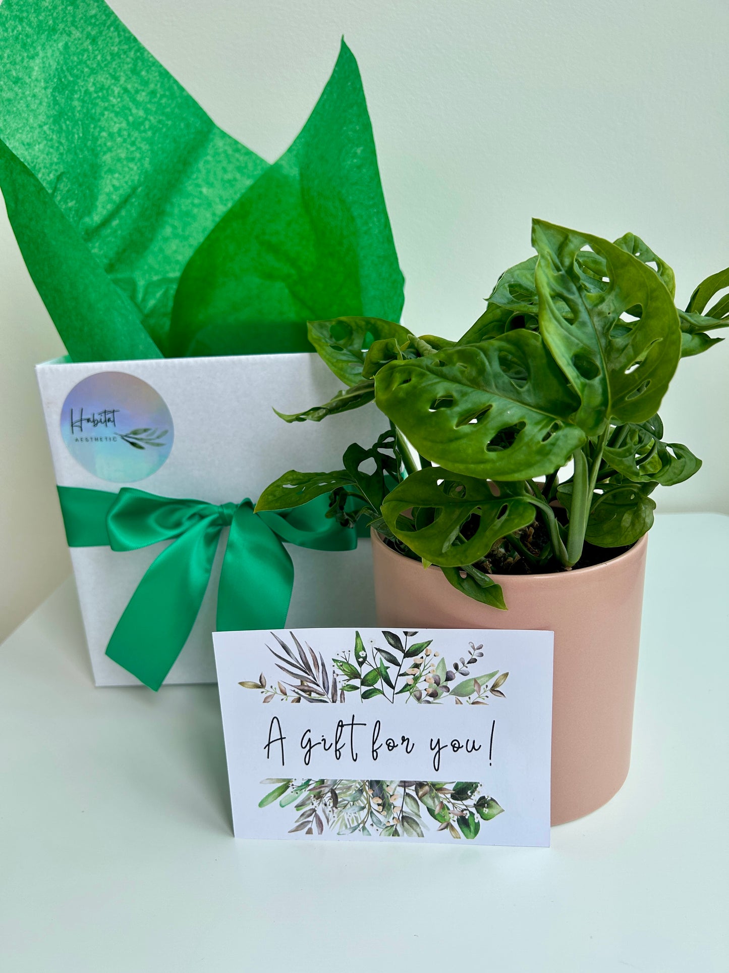 Plant & Pamper Gift Box πͺ΄π«π―