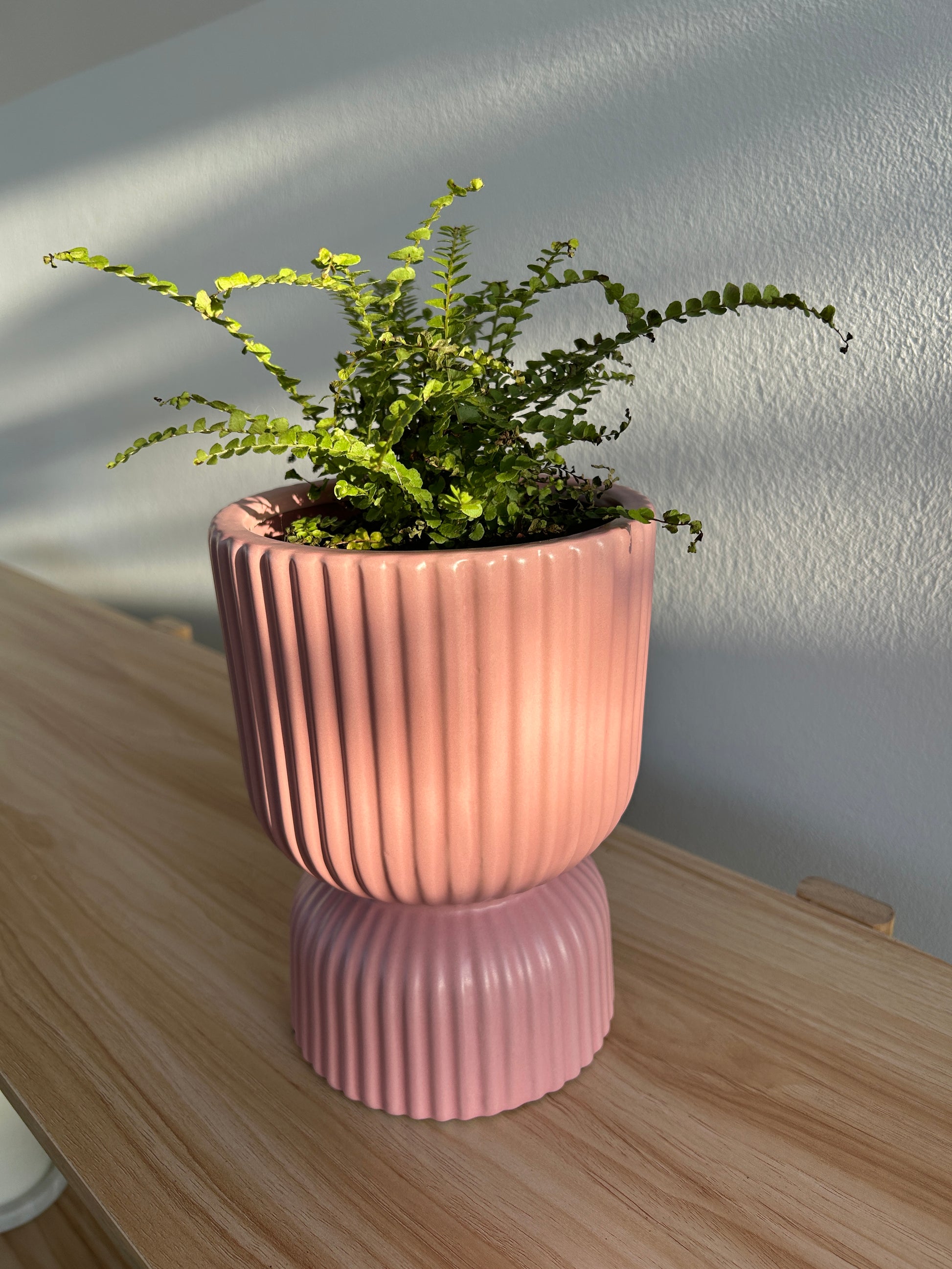 Blush Pink Tall Ribbed Ceramic Vase Plant Pot 12cm Diameter
