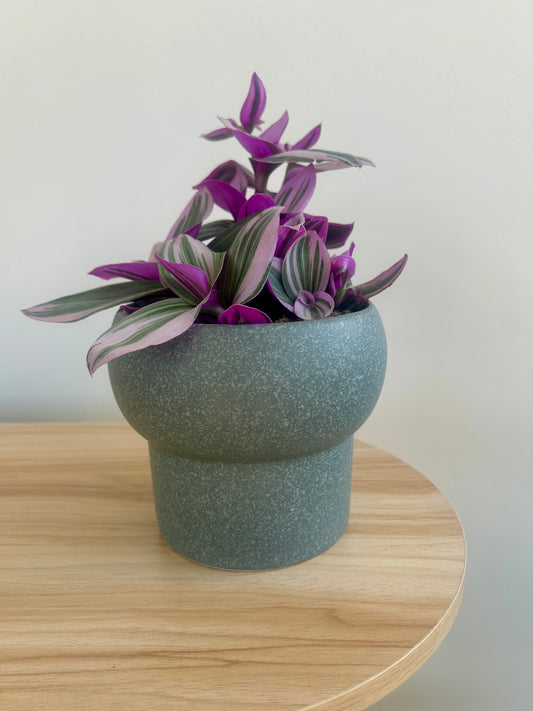 Forest Green Ceramic Pot 12cm