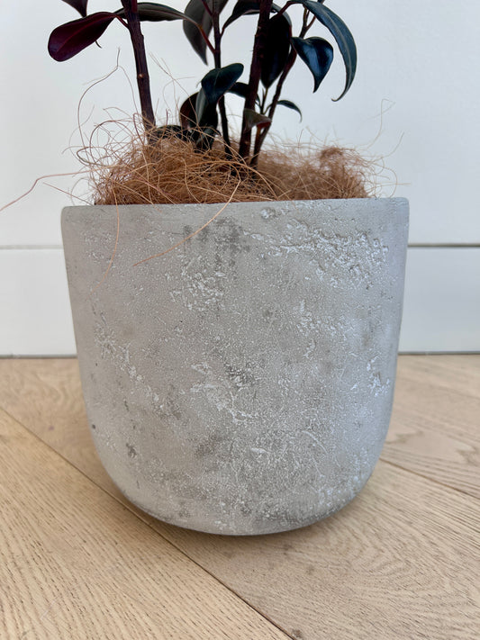 Concrete plant pot for indoor and outdoor use 17cm