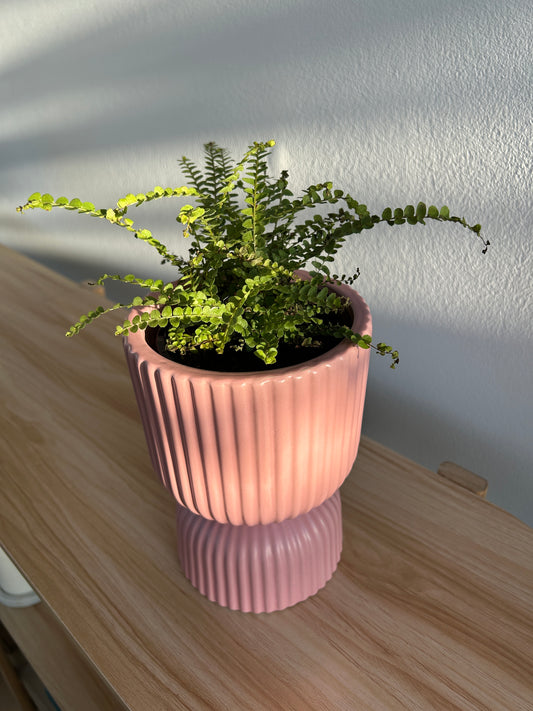 Blush Pink Tall Ribbed Ceramic Vase Plant Pot 12cm Diameter