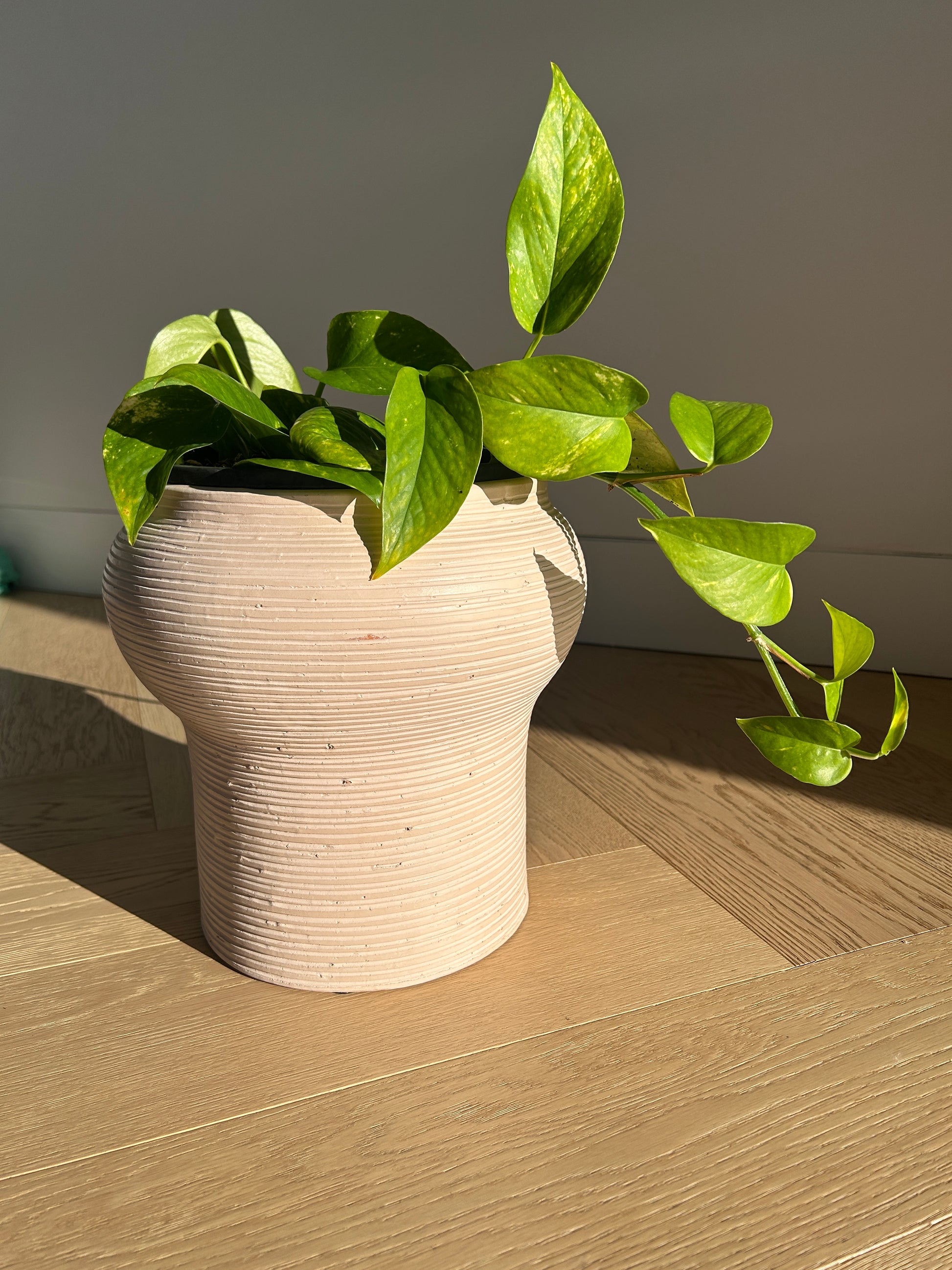 Dusk Pink Ceramic Vase/Plant Pot 17cm Diameter