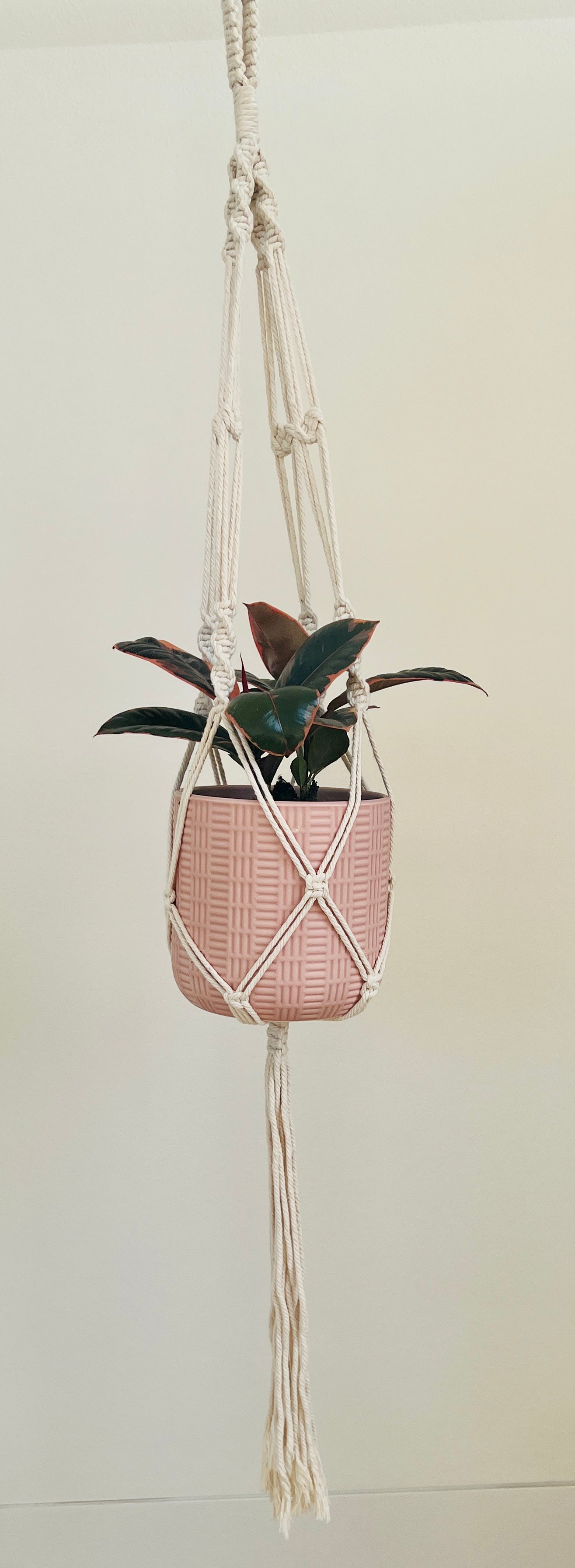 Twisted Macramé Indoor Plant Pot Hanger ~50cm Boho Chic Décor Home Garden