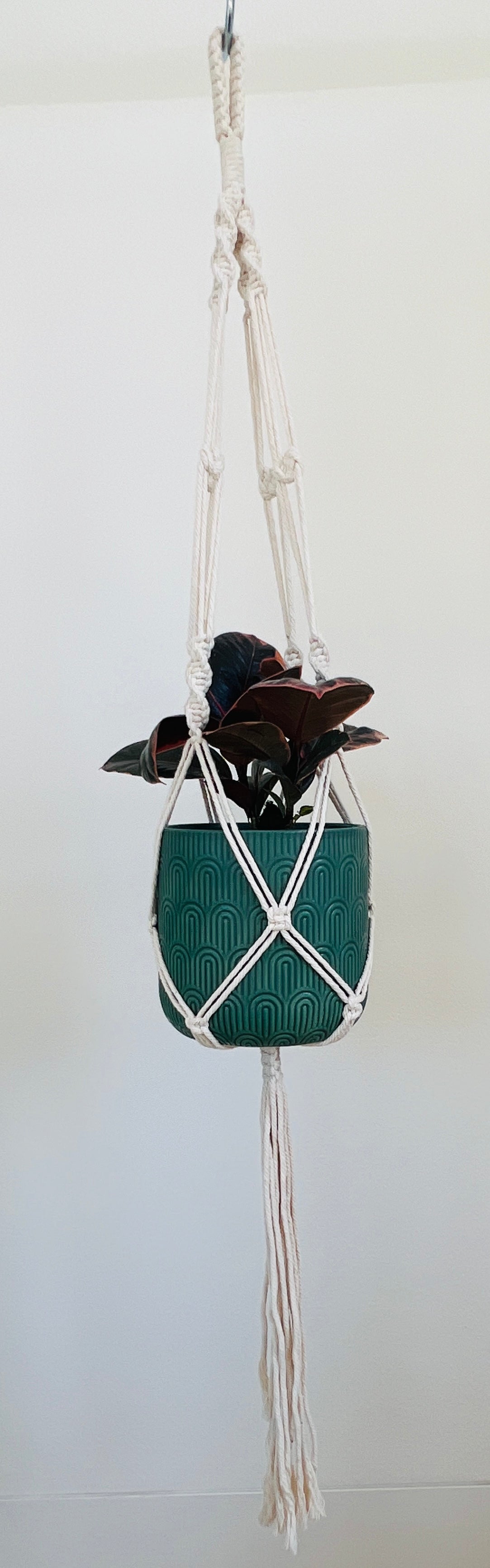 Twisted Macramé Indoor Plant Pot Hanger ~50cm Boho Chic Décor Home Garden