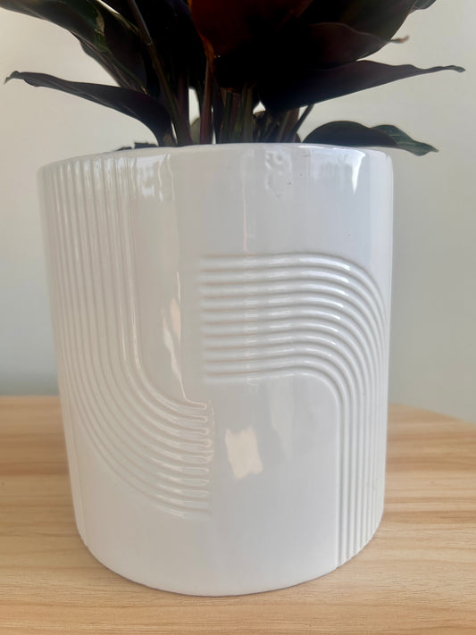 Glossy White Swirl Ceramic Plant Pot 14cm with drainage hole