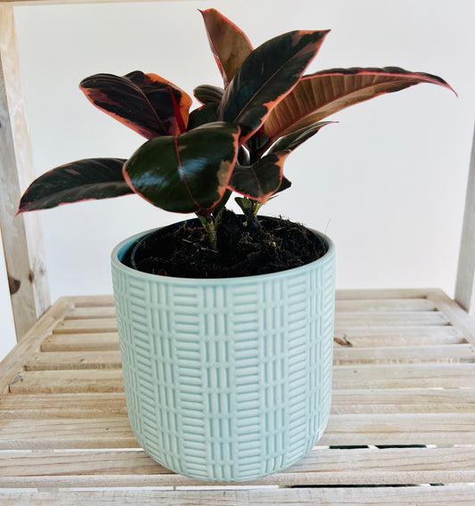 Mint Green Ceramic Pattern Plant Pot 12cm