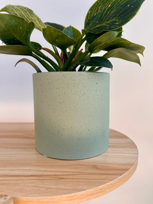 Mint Green Speckled Ceramic Plant Pot 12cm
