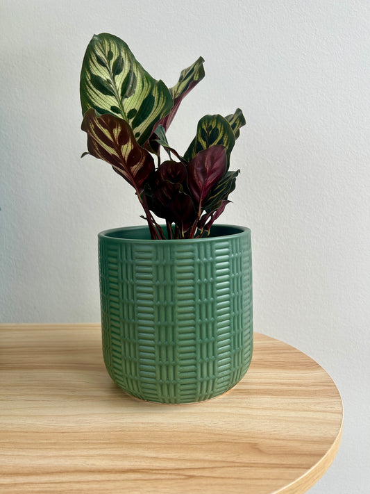 Olive green geometric patterned ceramic pot 12cm