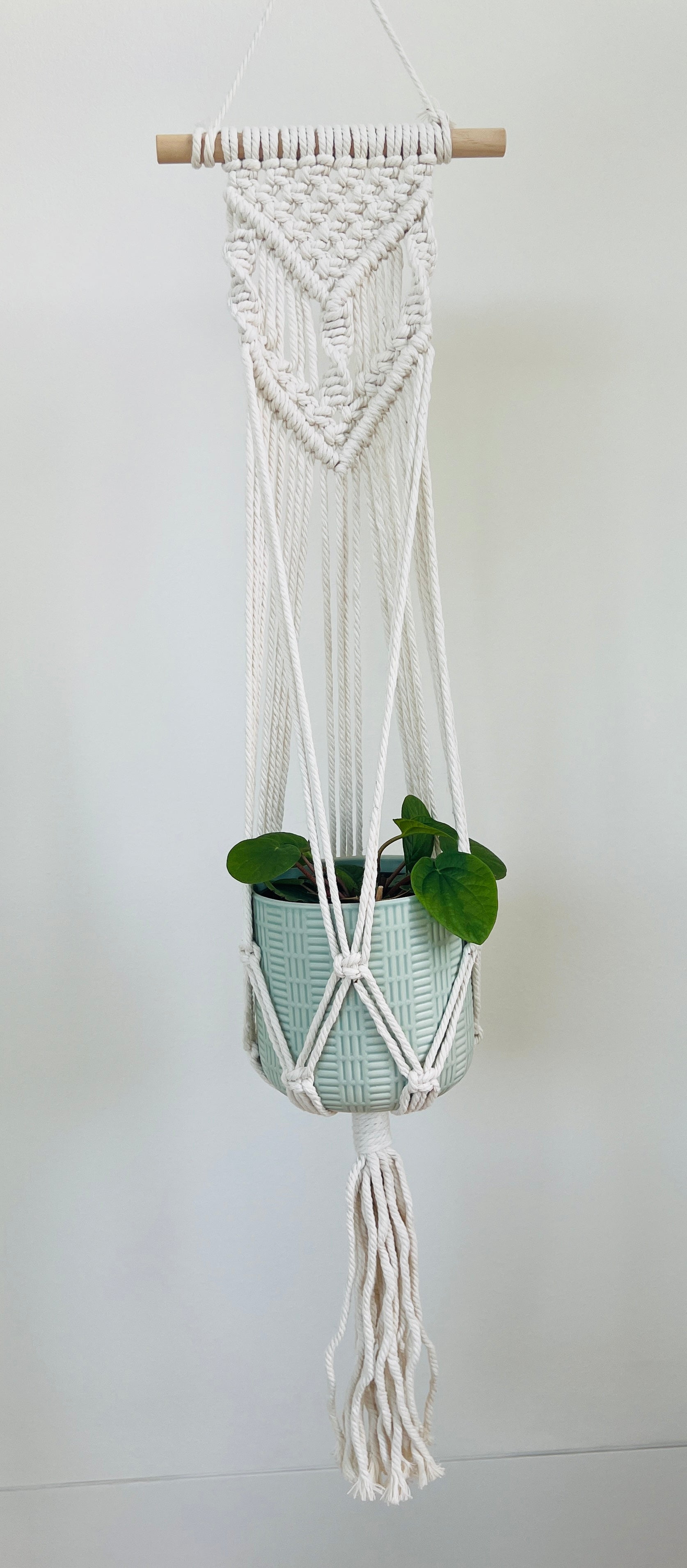 Peperomia Rana Verde Radiator Indoor Plant 12cm in Pattern Ceramic Pot and Macramé