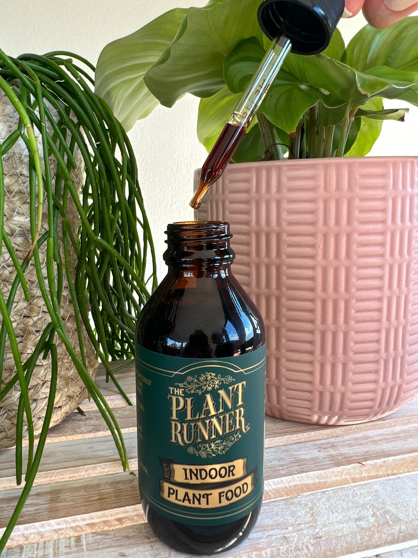Plant Runner Indoor Plant Food Liquid Fertiliser 100ml