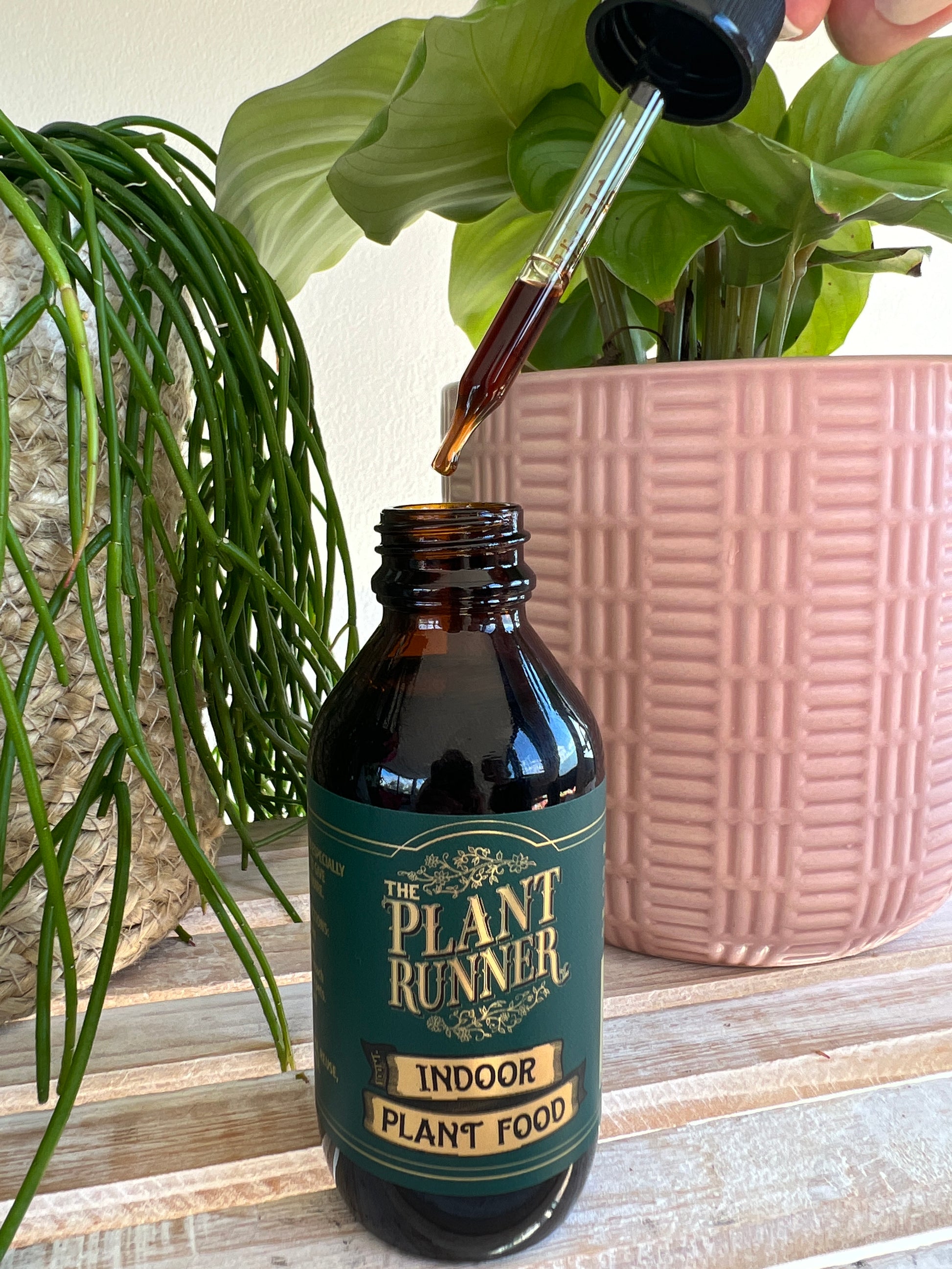 Plant Runner Indoor Plant Food Liquid Fertiliser 100ml
