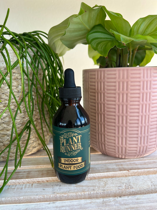 Plant Runner Indoor Plant Food Liquid Fertiliser 100ml