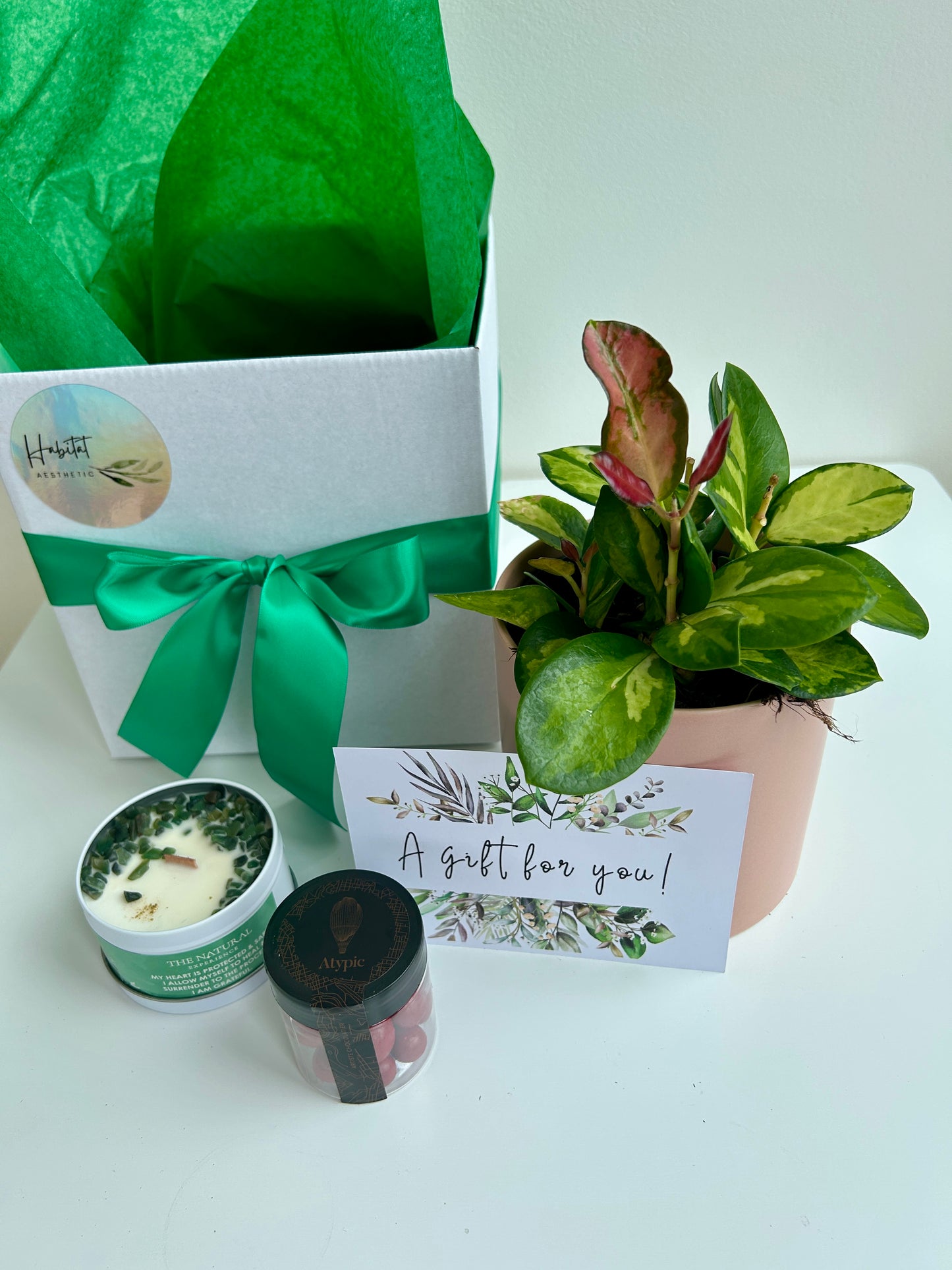Plant & Pamper Gift Box Indoor Plant, Chocolates and Scented Soy Gem Candle Hoya Plant