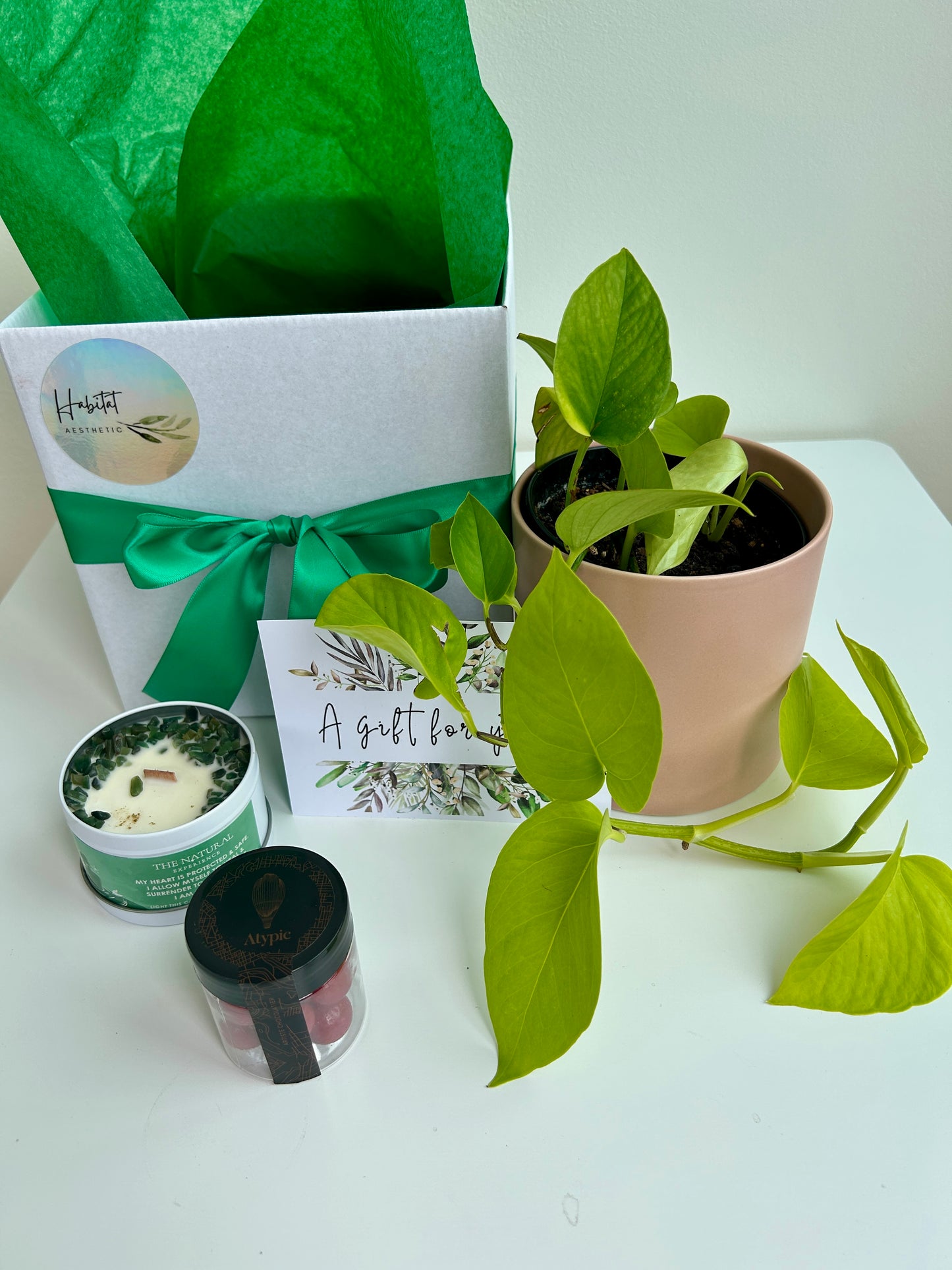Plant & Pamper Gift Box Indoor Plant, Chocolates and Scented Soy Gem Candle Neon Pothos