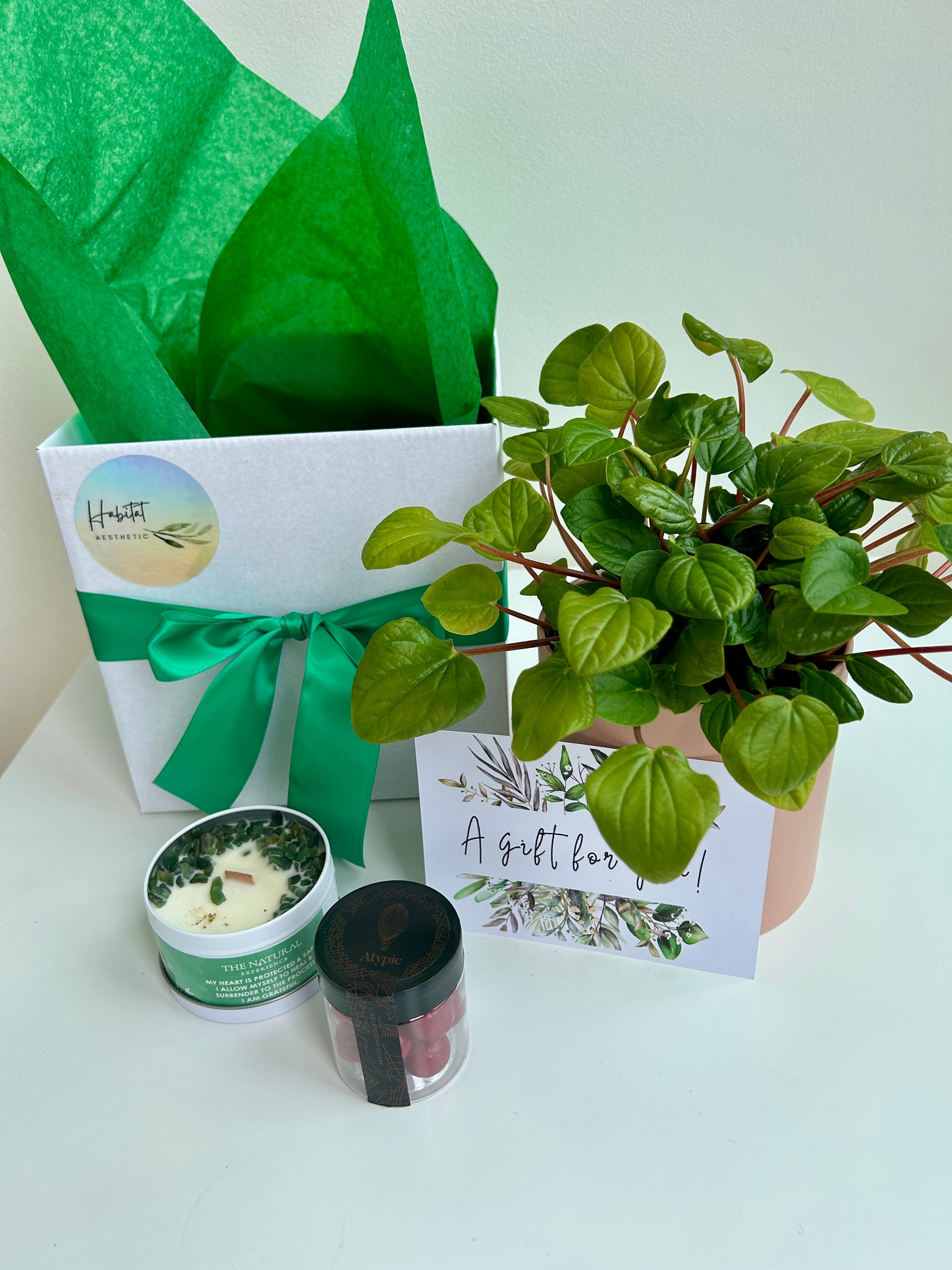 Plant & Pamper Gift Box Indoor Plant, Chocolates and Scented Soy Gem Candle Peperomia Rana Verde