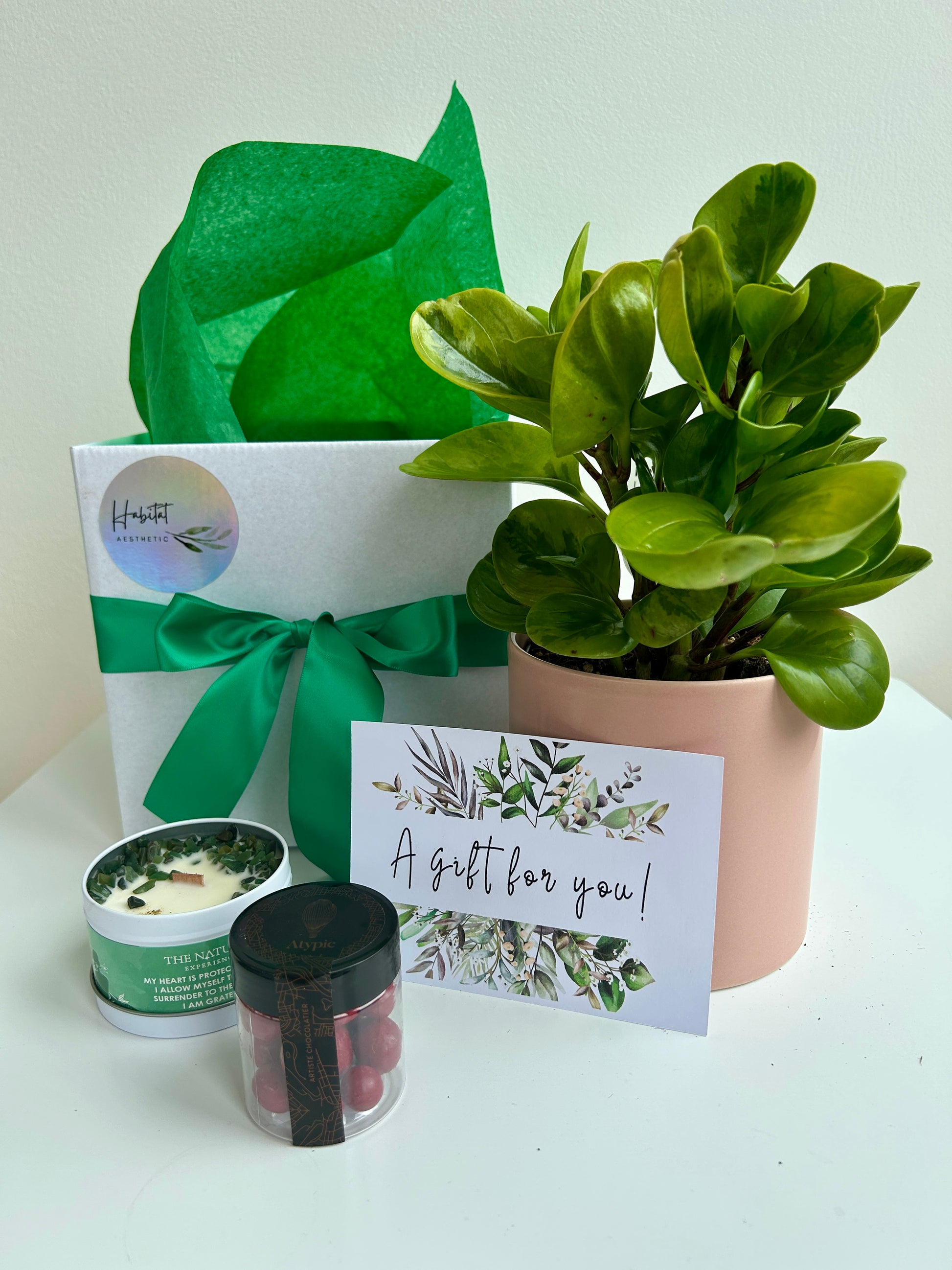 Plant & Pamper Gift Box Indoor Plant, Chocolates and Scented Soy Gem Candle Rubber Plant Lemon Lime