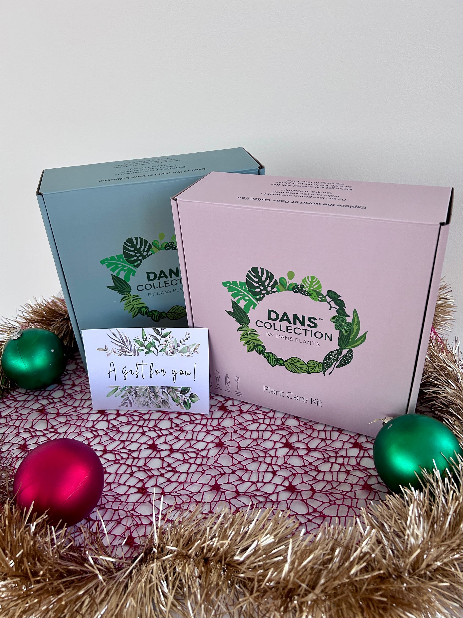 Plant care kit - moisture meter, propagation scissors, misting bottle, spade