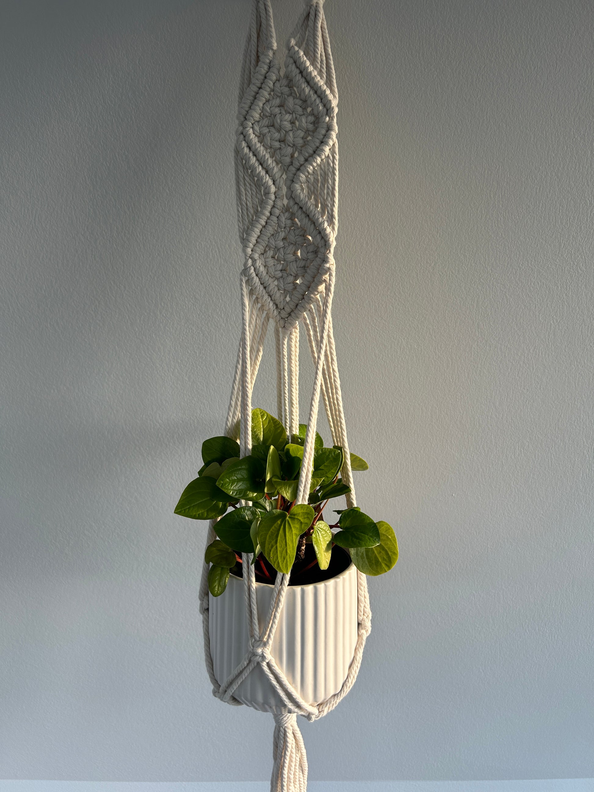Snow White Ceramic Plant Pot 12cm with Peperomia Rana Verde and Diamond Macrame Plant Hanger