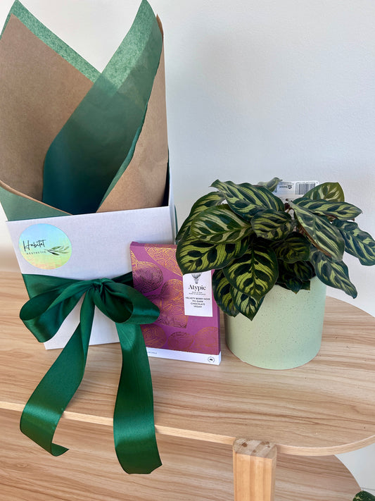 Teachers Gift Box