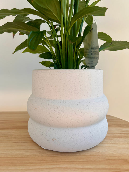 White Ceramic Coil Pot Textured Finish 12cm