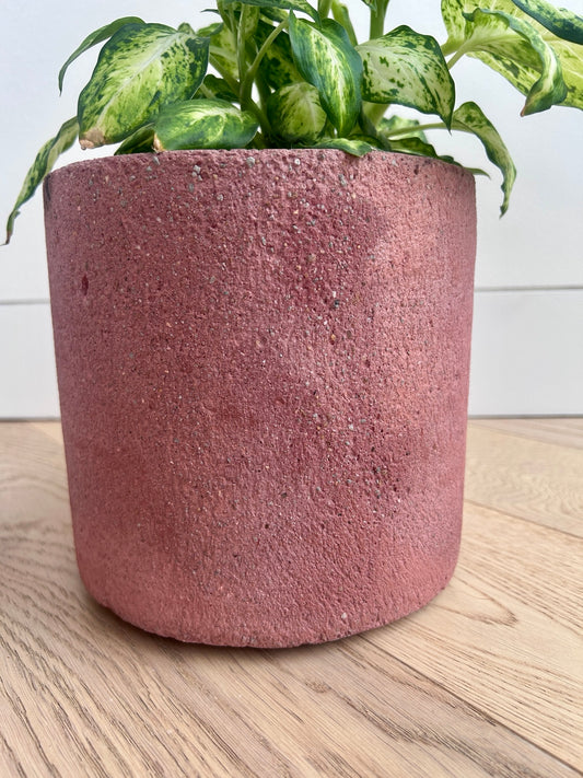Textured rose pink concrete pot 14cm pictured with Leopard Lily foliage