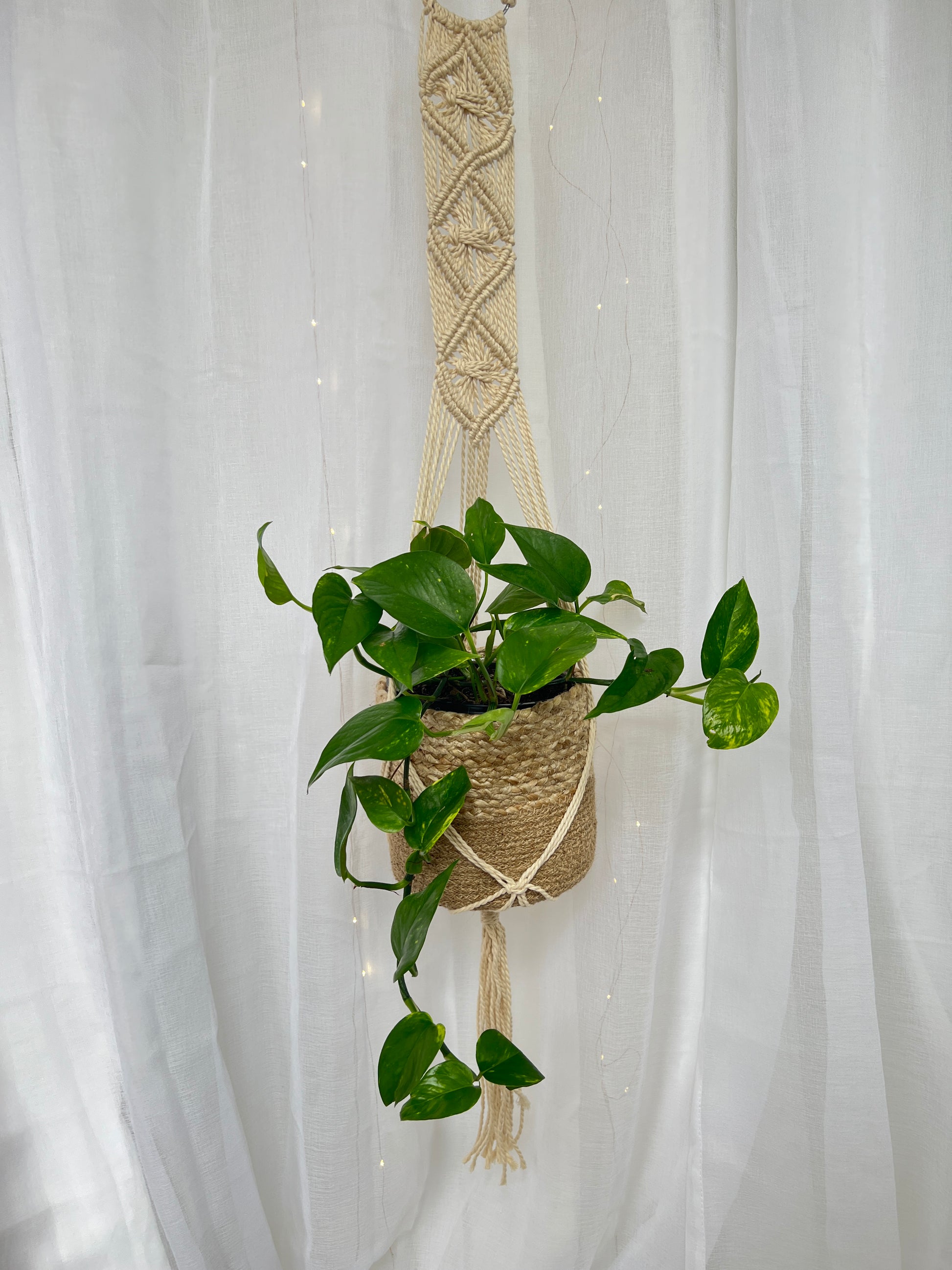 Diamond Braided Macramé Indoor Plant Pot Hanger ~1.2m Boho Chic Décor Home Garden