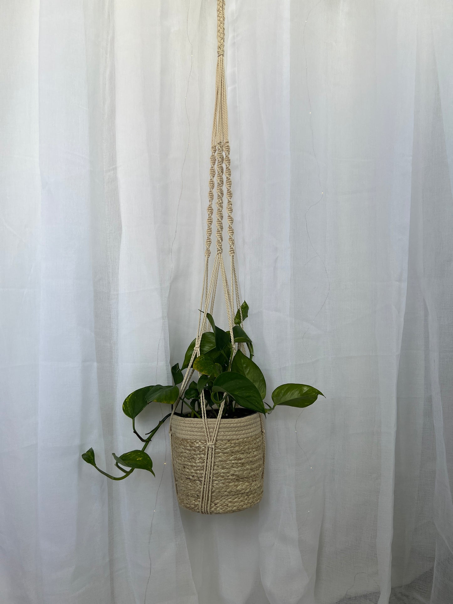 Twisted Macramé Plant Hanger ~1.2m