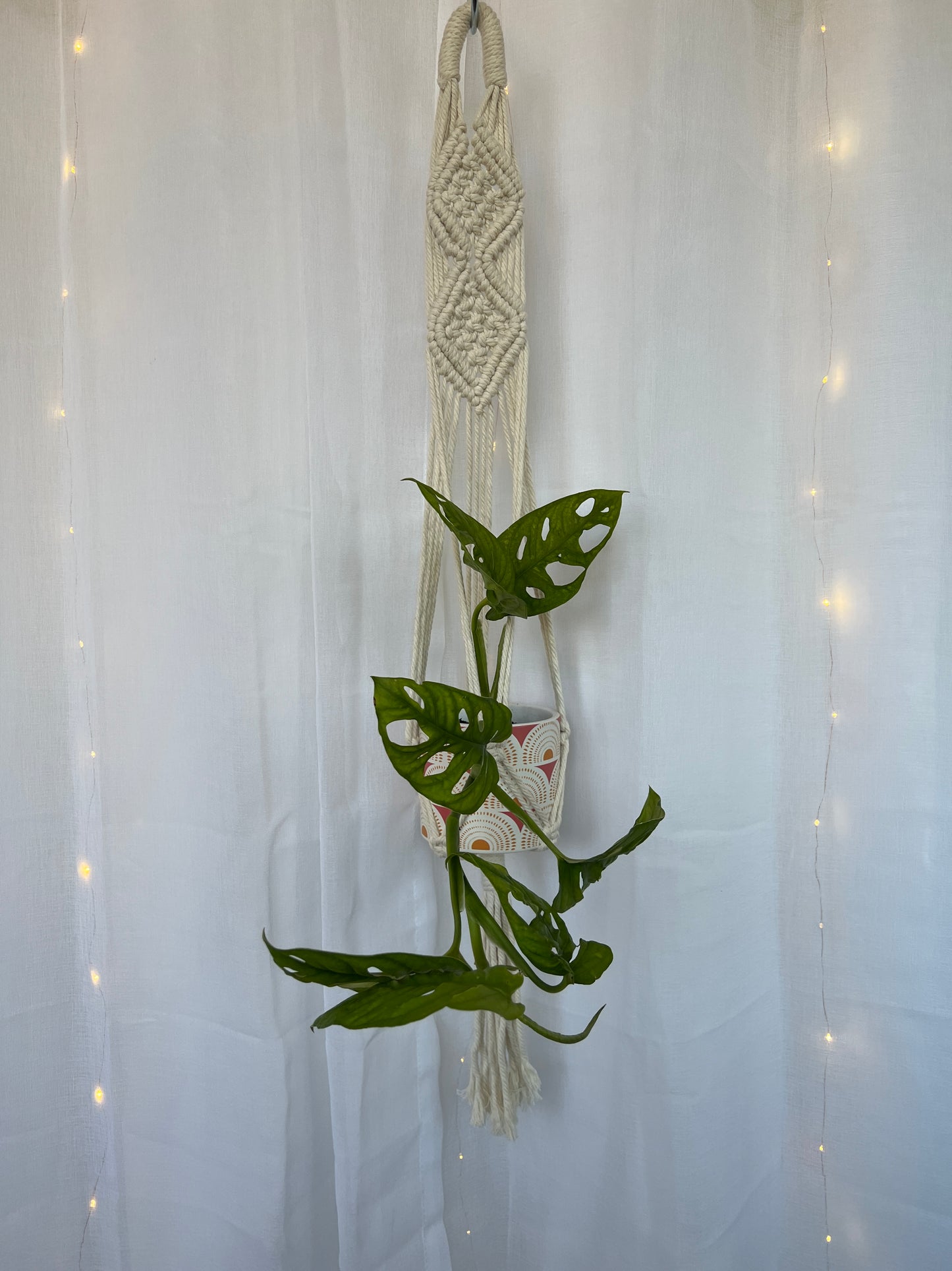 Diamond Braided Macramé Indoor Plant Pot Hanger ~50cm Boho Chic Décor Home Garden Hand Made