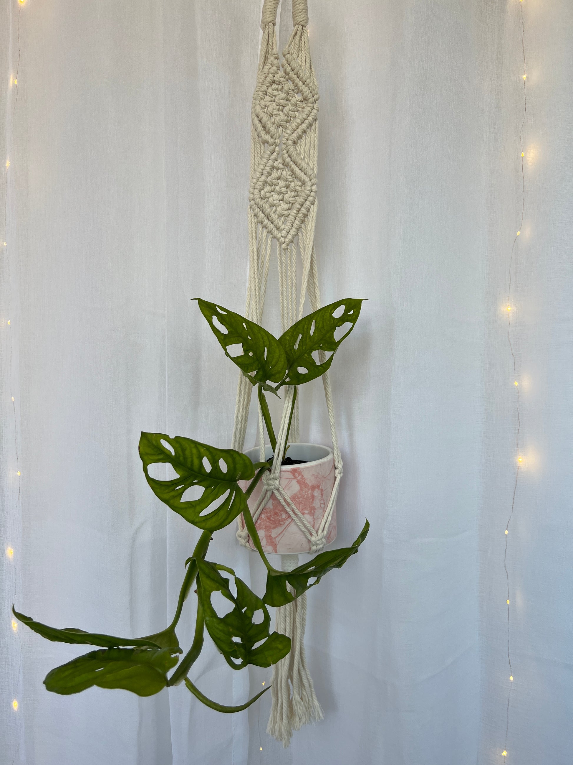 Diamond Braided Macramé Indoor Plant Pot Hanger ~50cm Boho Chic Décor Home Garden Hand Made