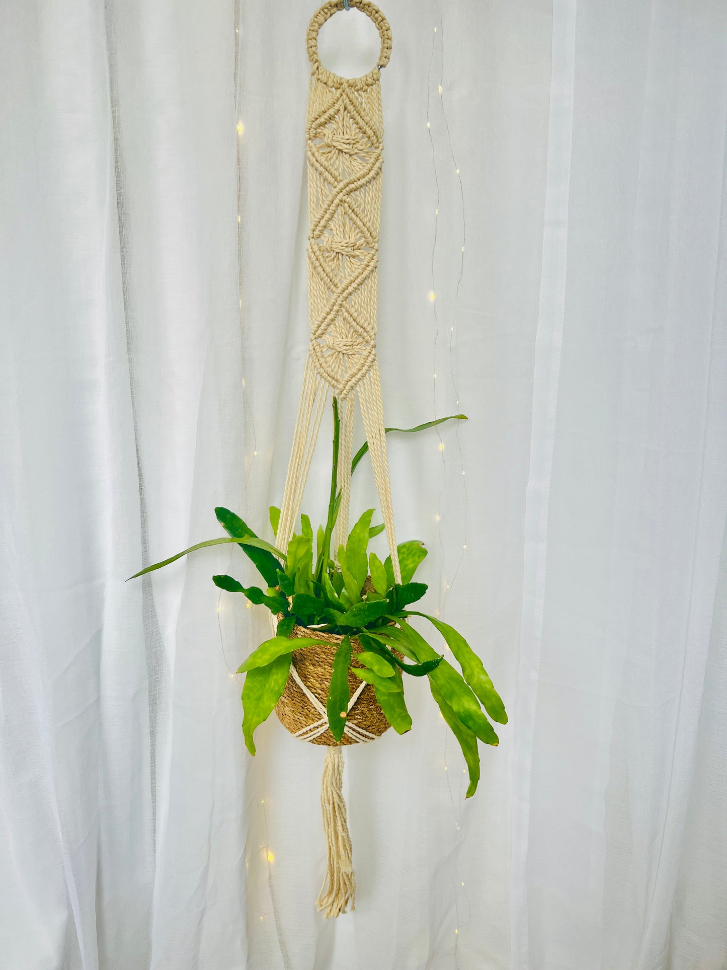 Diamond Braided Macramé Indoor Plant Pot Hanger ~1.2m Boho Chic Décor Home Garden