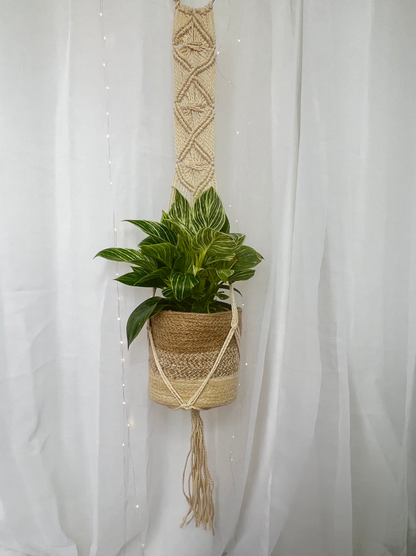 Diamond Braided Macramé Indoor Plant Pot Hanger ~1.2m Boho Chic Décor Home Garden