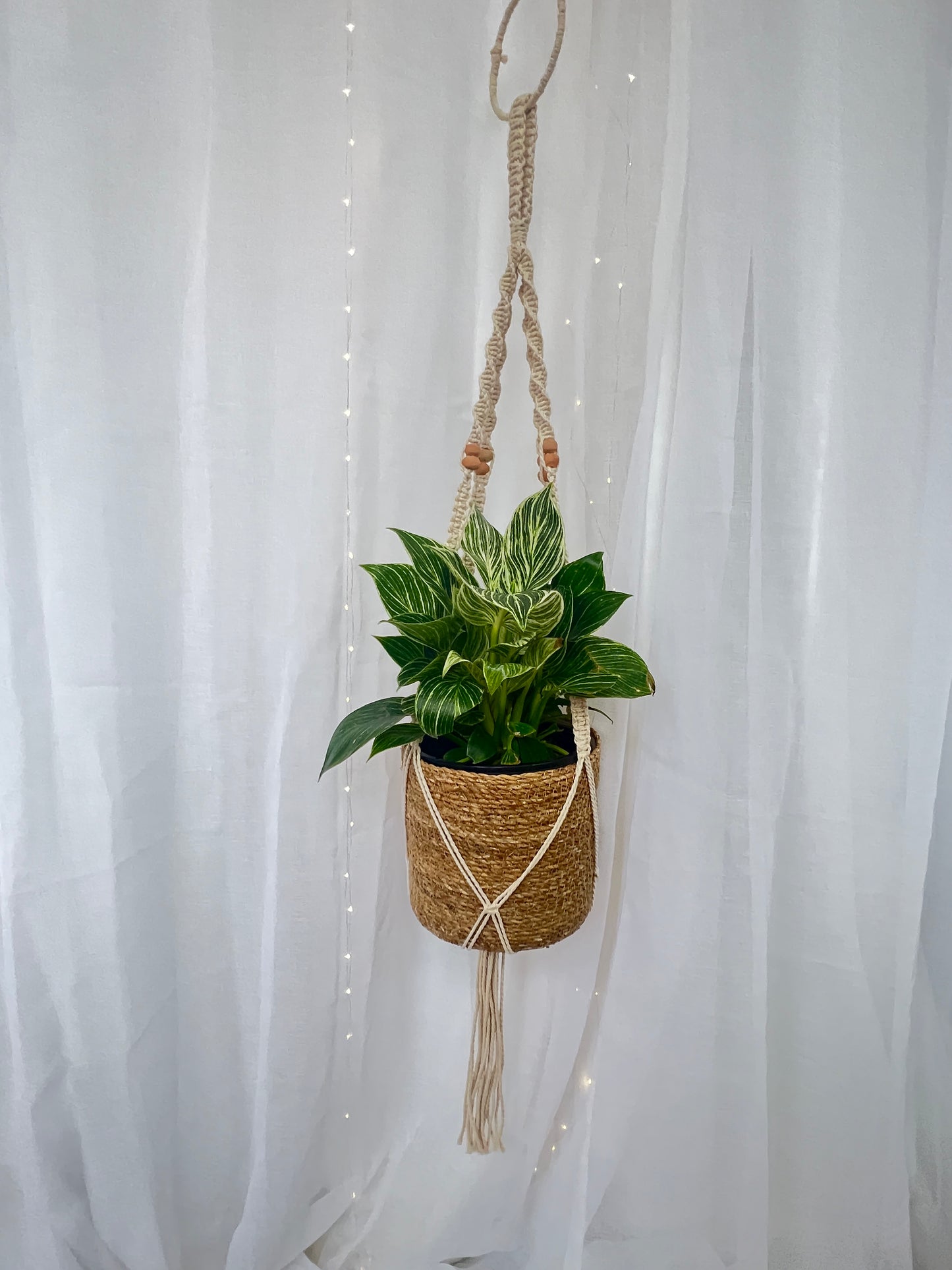Beaded Macramé Indoor Plant Hanger 120cm Boho Chic Décor