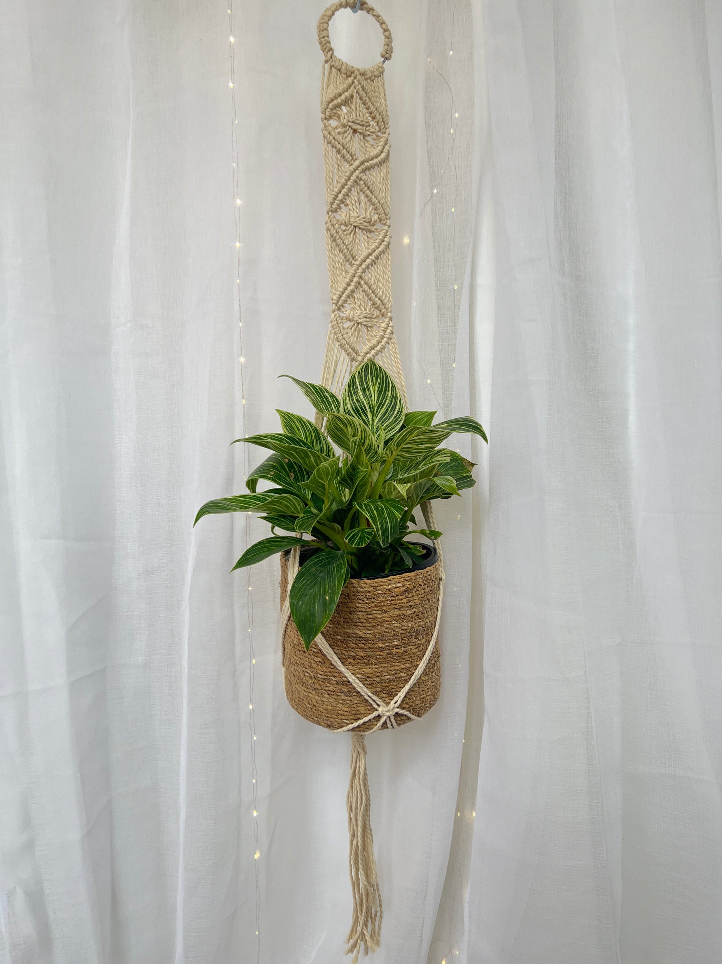 Diamond Braided Macramé Indoor Plant Pot Hanger ~1.2m Boho Chic Décor Home Garden