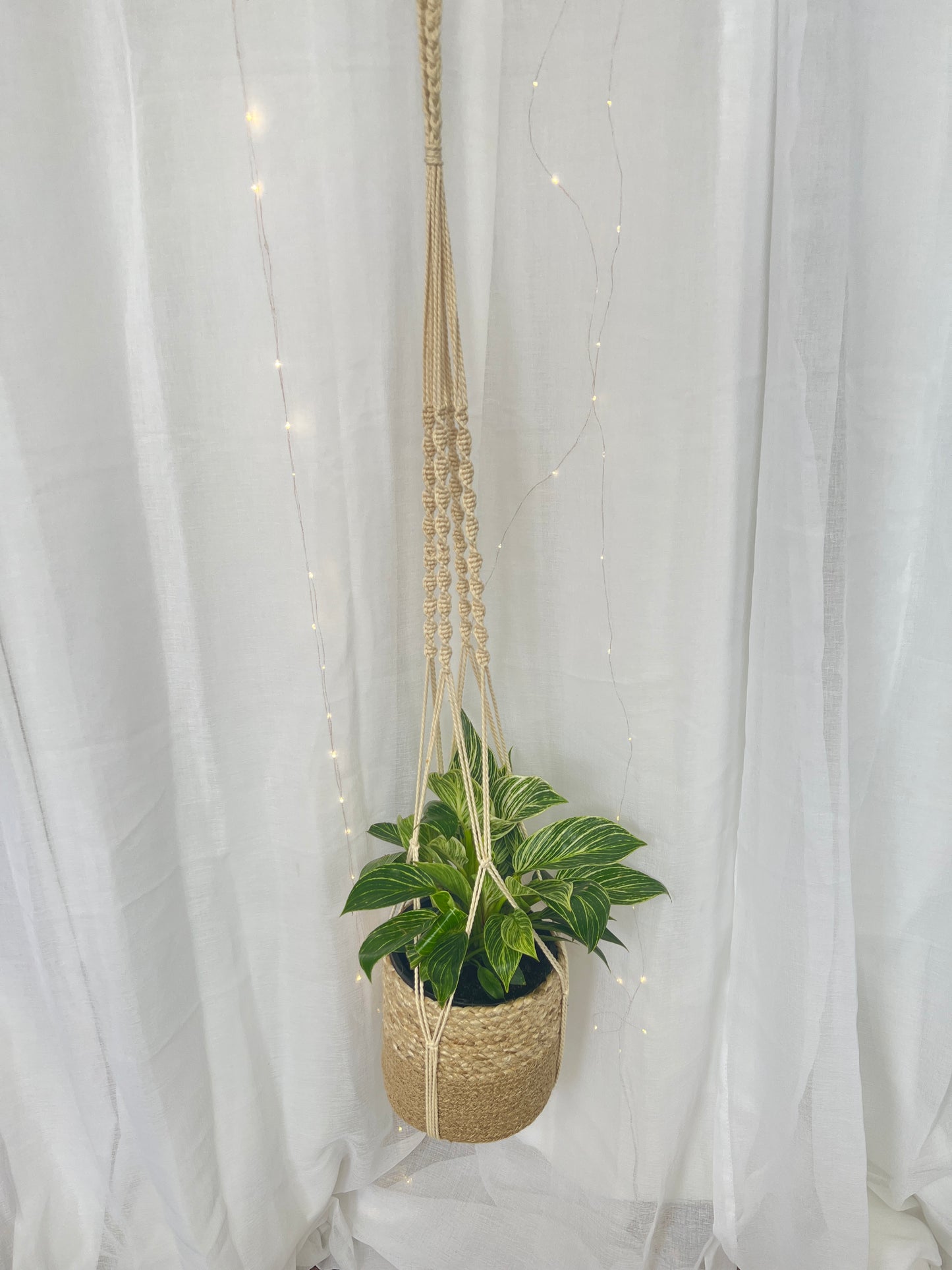 Twisted Macramé Indoor Plant Pot Hanger 120cm Boho Chic Décor Home Garden