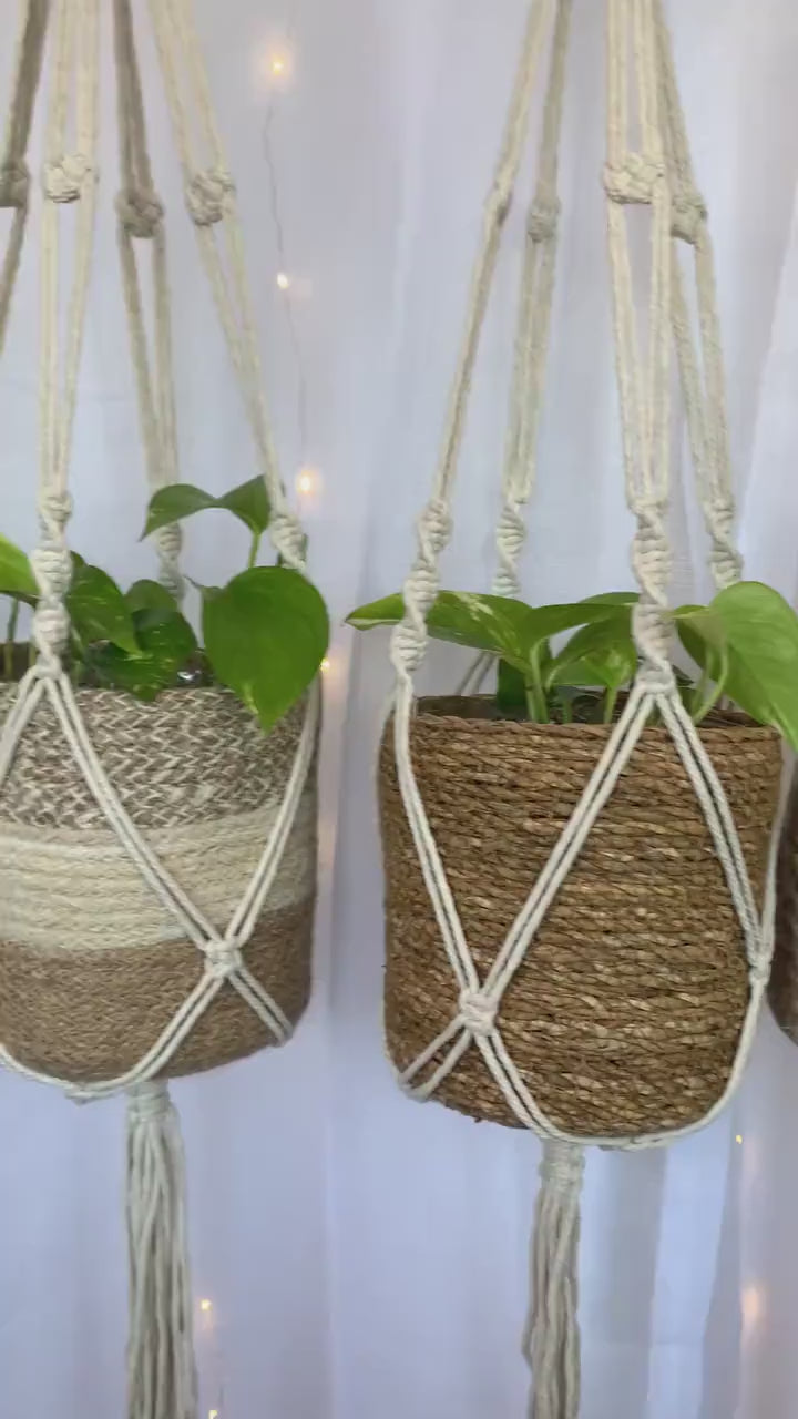 Twisted Macramé Plant Hanger ~50cm *Free Shipping!