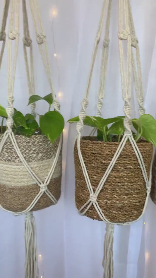 Twisted Macramé Plant Hanger ~50cm *Free Shipping!
