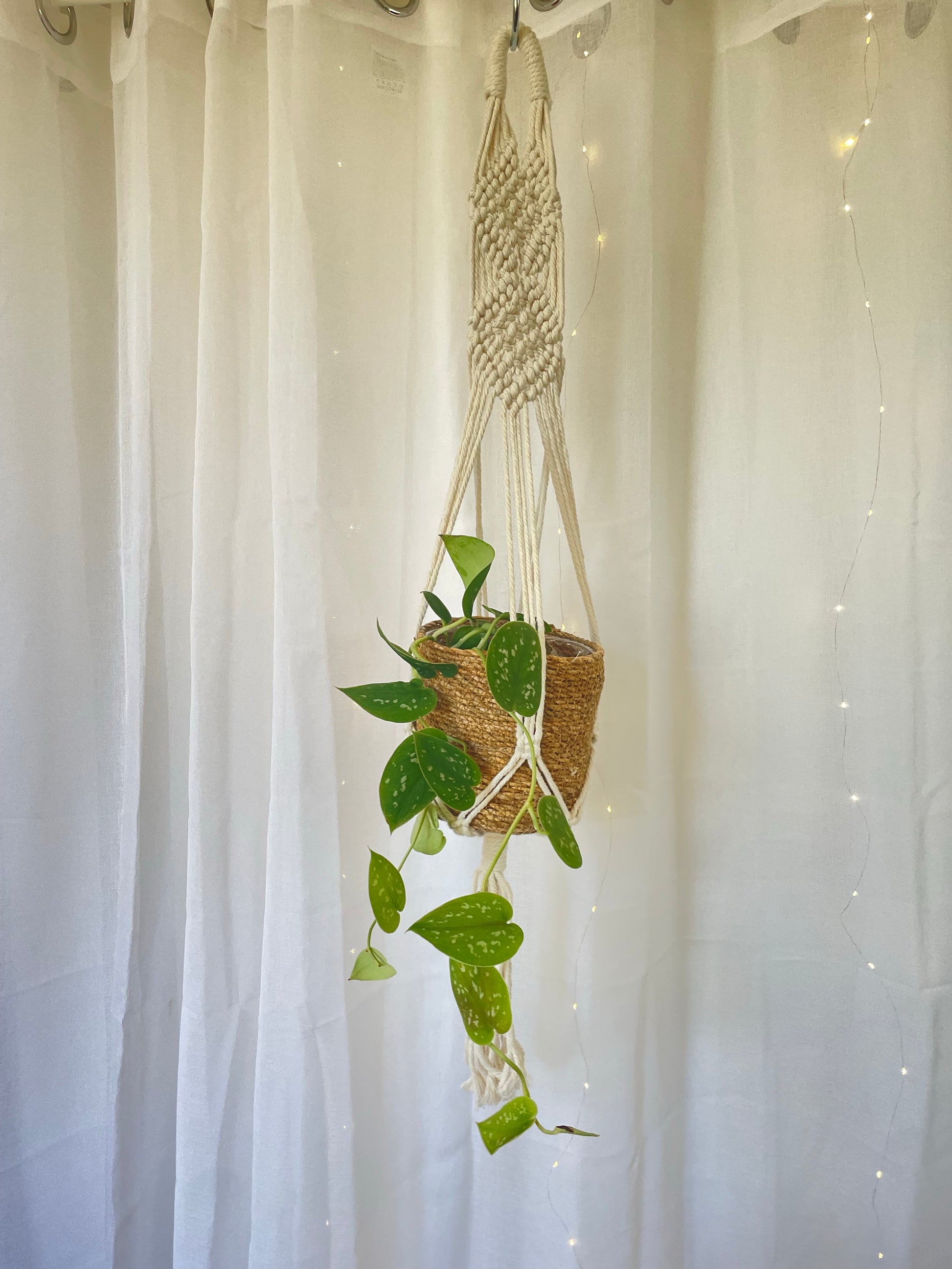 Diamond Braided Macramé Indoor Plant Pot Hanger ~50cm Boho Chic Décor Home Garden Hand Made