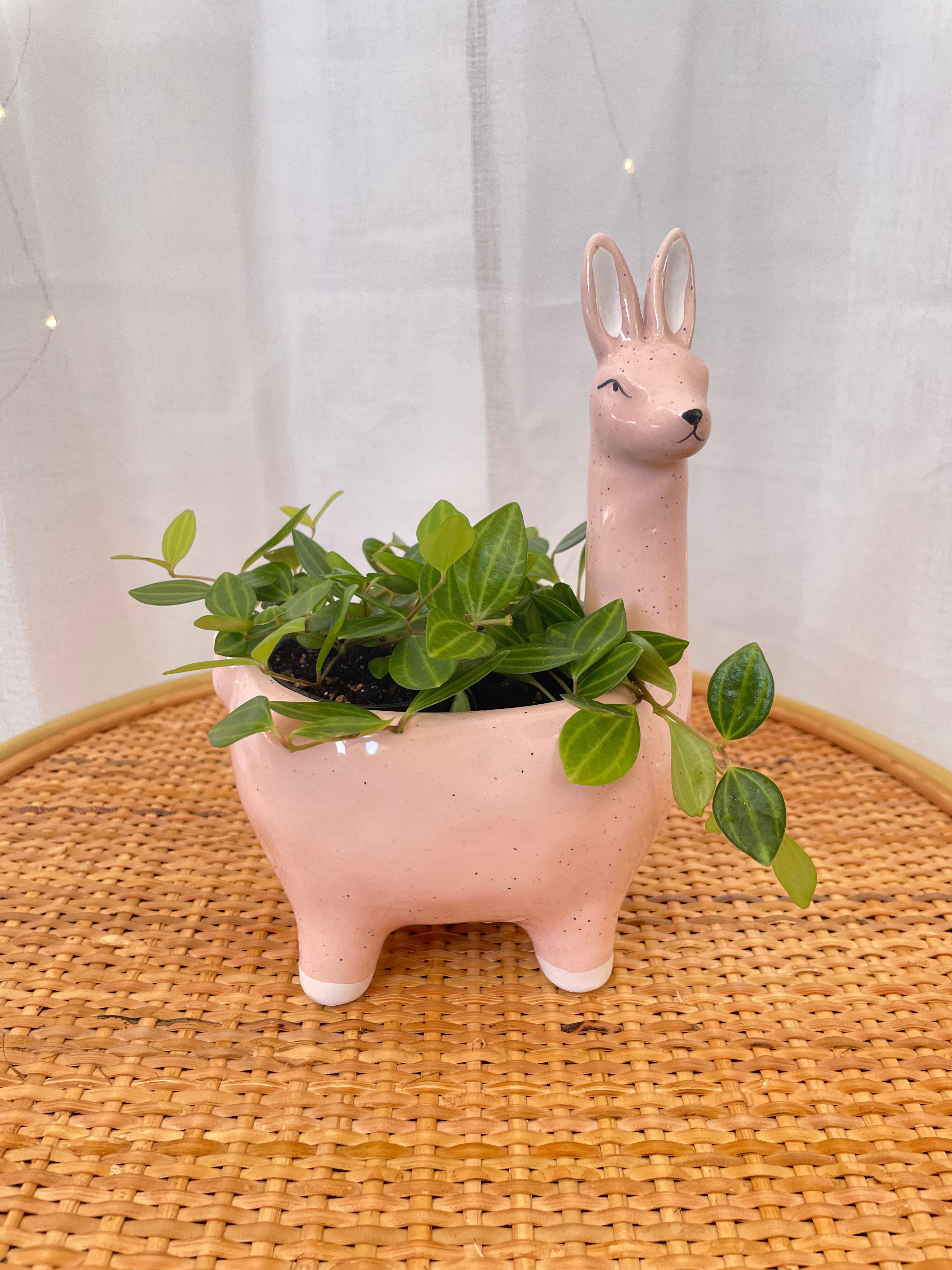 Small Pink Alpaca Ceramic Planter Pot 13cm For Indoor Plant Boho Chic small-pink-alpaca-ceramic-planter-pot-13cm-for-indoor-plant-boho-chic