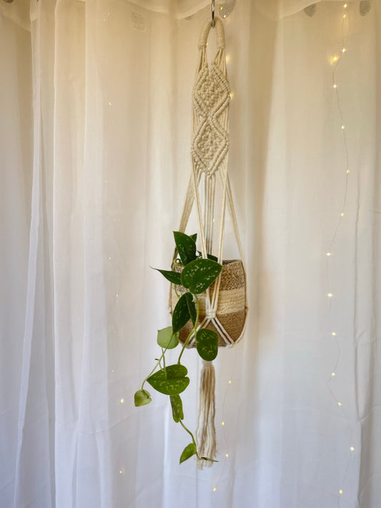 Diamond Braided Macramé Indoor Plant Pot Hanger ~50cm Boho Chic Décor Home Garden Hand Made