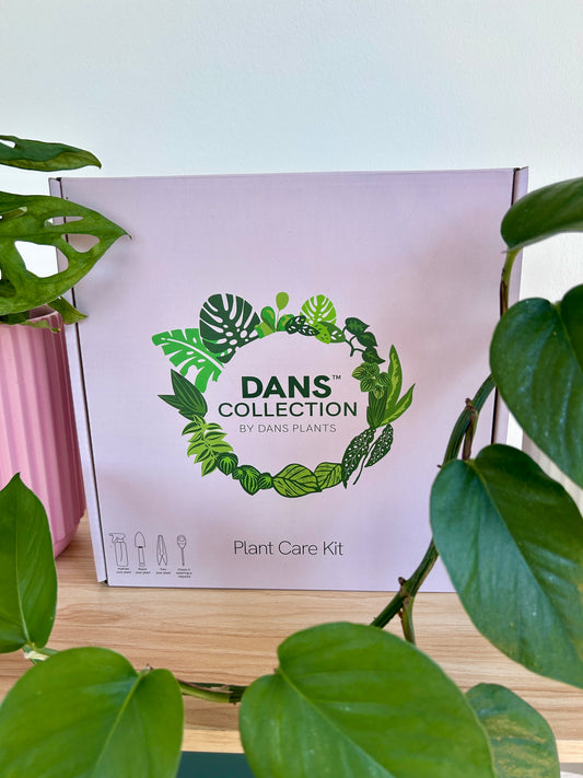 Plant Care Kit Gift Box