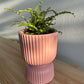 Blush Pink Tall Ribbed Ceramic Vase Plant Pot 12cm Diameter