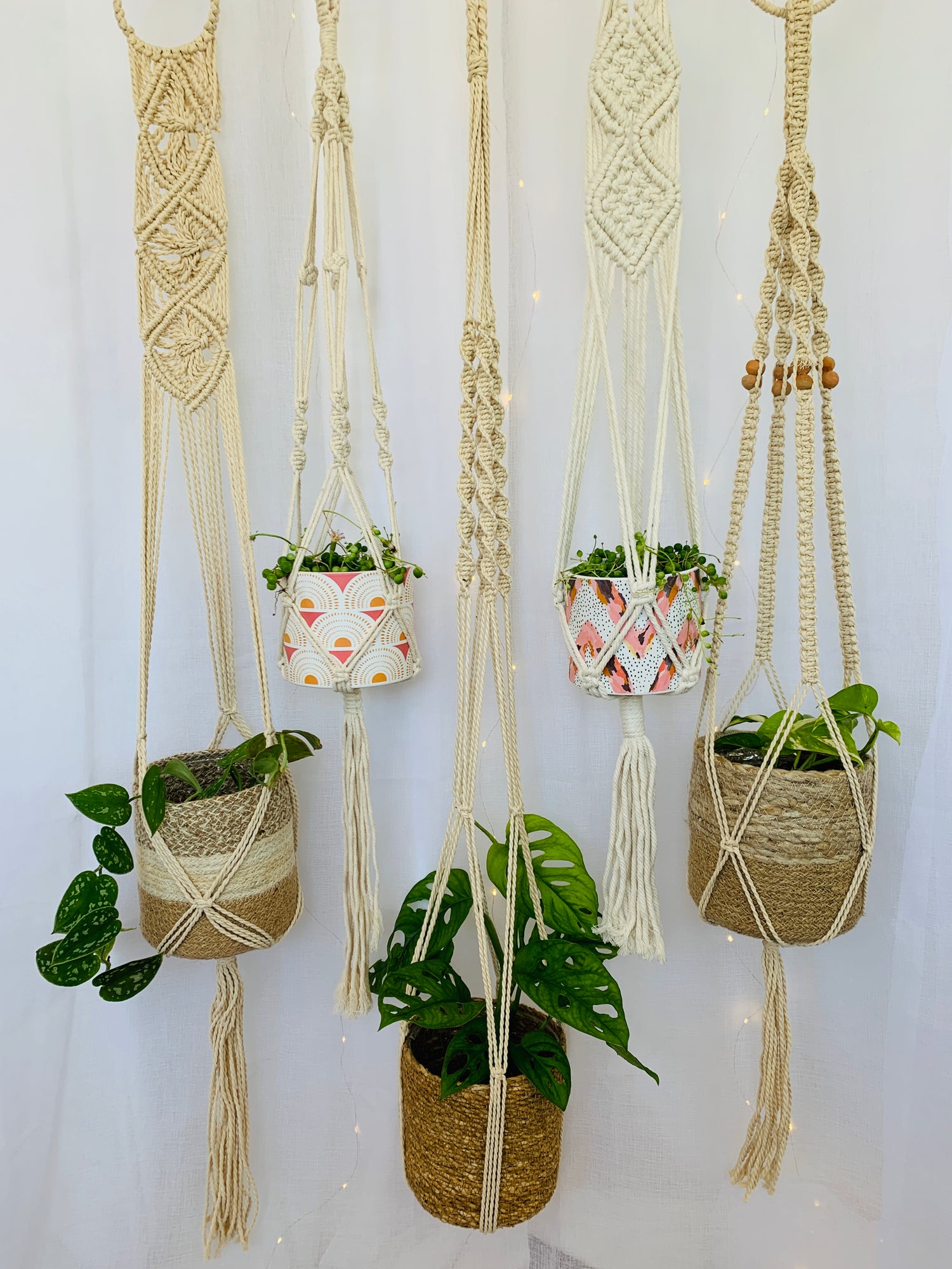 Hanging plants in Macramé plant hangers; Satin Pothos, Monstera Monkey Mask, Devils Ivy, String of Pearls. Ceramic pots and Jute hand woven pots.