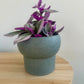 Forest Green Ceramic Pot 12cm