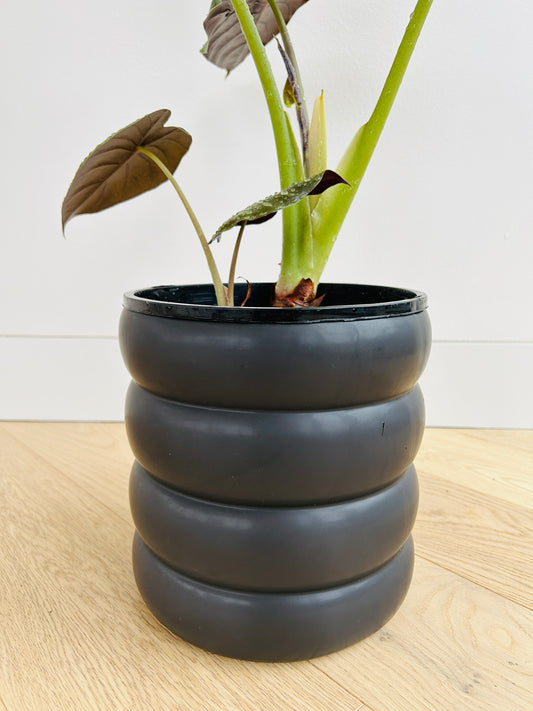 Black Coil Ceramic Pot 19cm