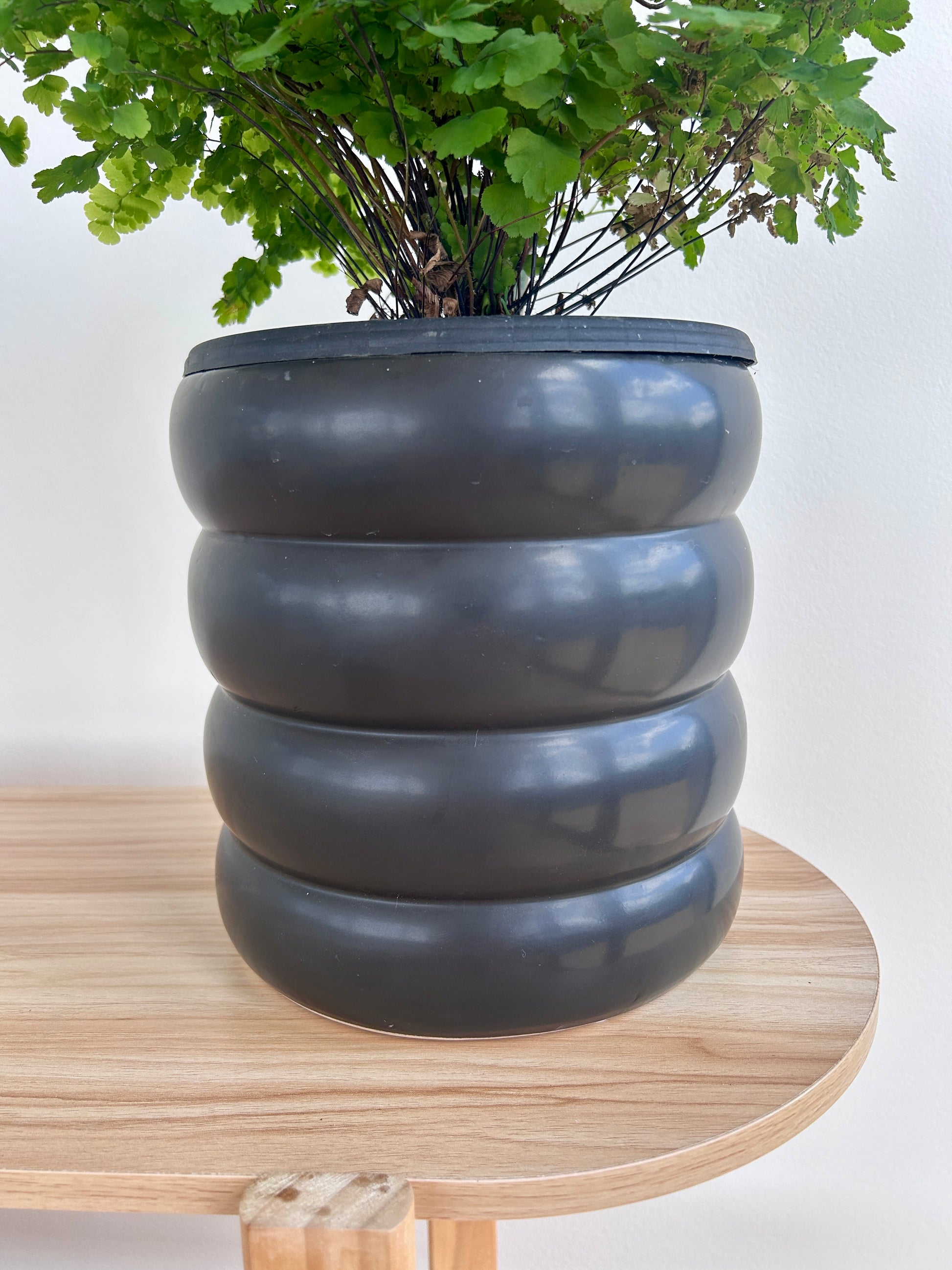 Black Coil Ceramic Pot 19cm Indoor Plant Pot