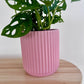 Blush Pink Ribbed Ceramic Pot 14cm with Monstera Monkey Mask