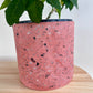 Blush Pink Speckle Terazzo Pot 15cm