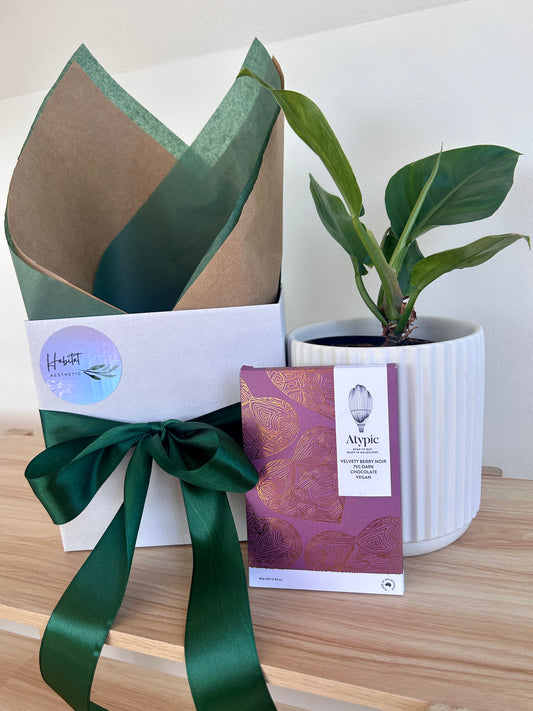 Career Celebration Gift Box 