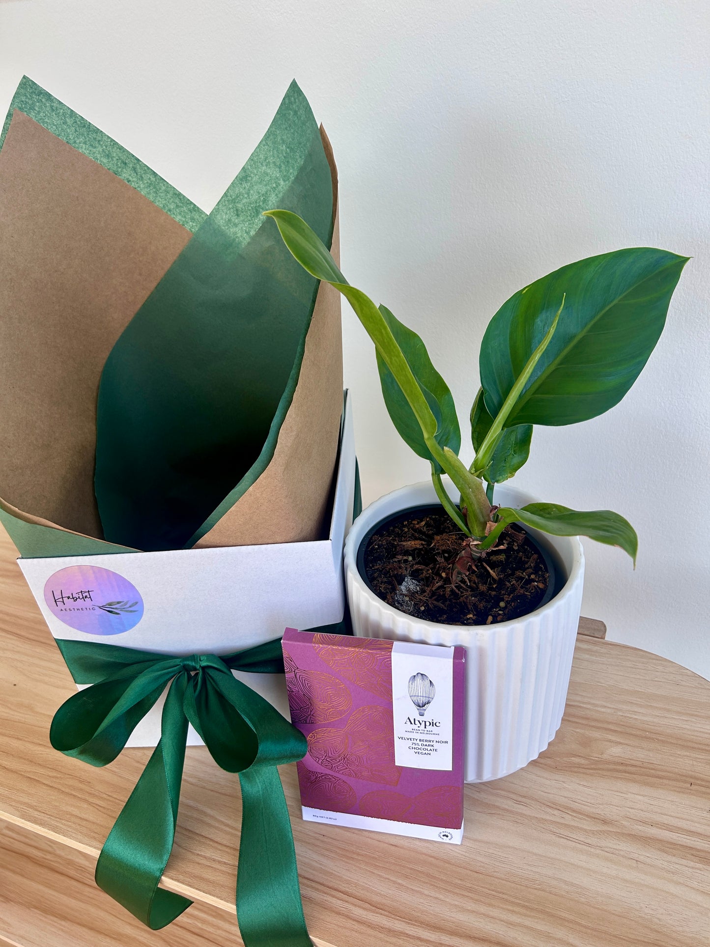 Career Celebration Gift Box Philodendron Rojo Congo Atypic Velvety Berry Noir Vegan Chocolate Promotion Gift