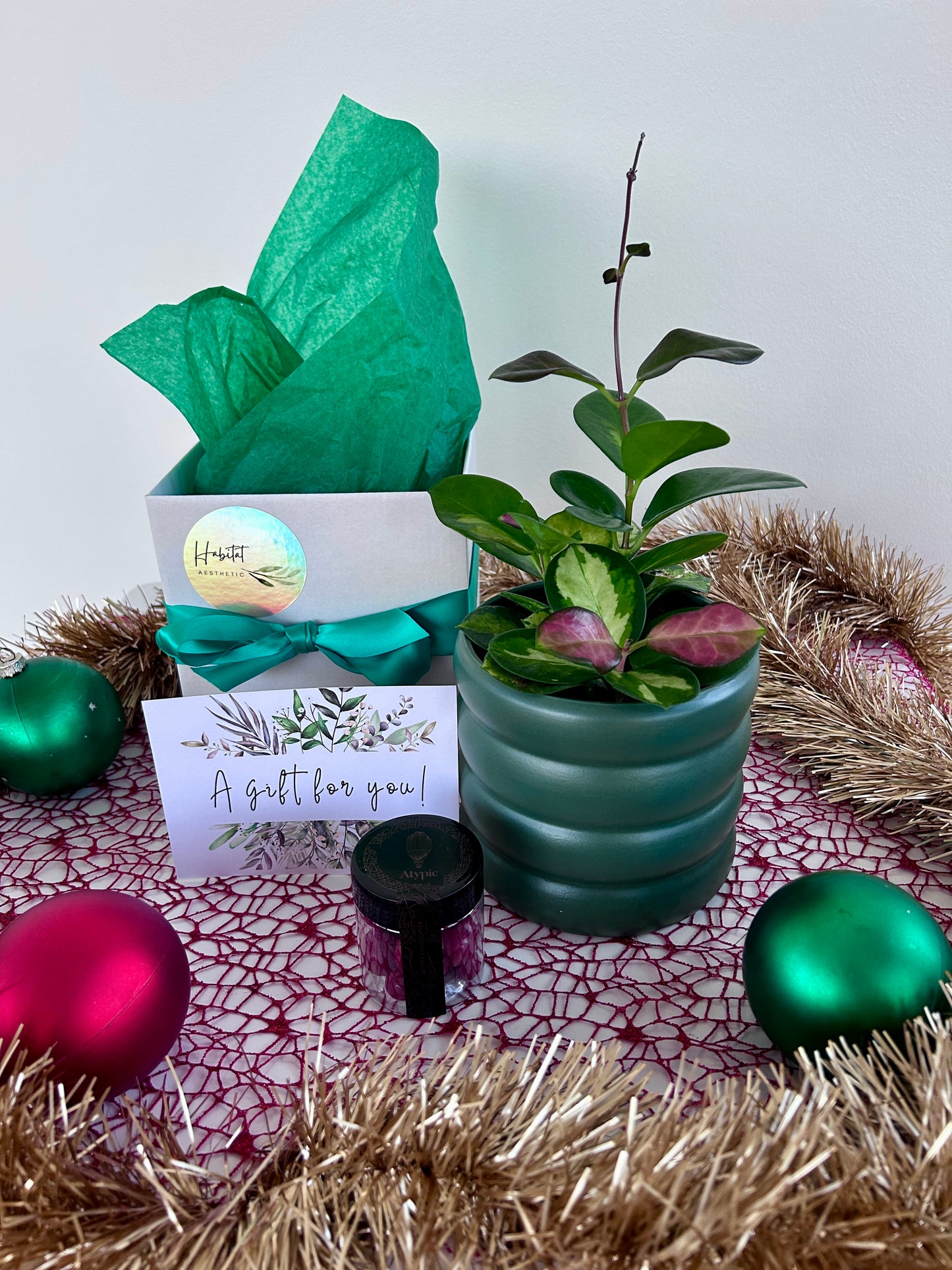 Christmas Plant Gift Box with Chocolates Hoya Plant
